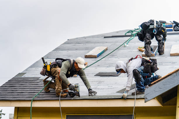Professional Gutter Installation technician working in Novato, CA